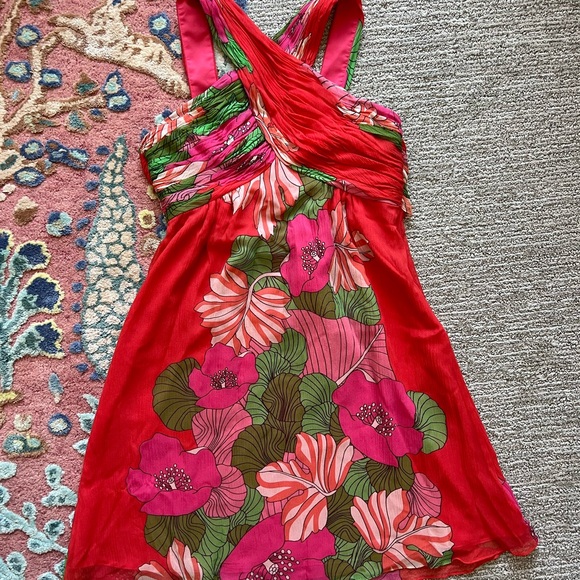 Tibi Dresses & Skirts - Tibi Pink and Red Floral Dress